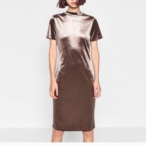 Nwot Zara metallic velvet dress